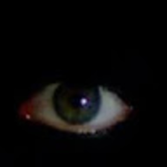 plissken84